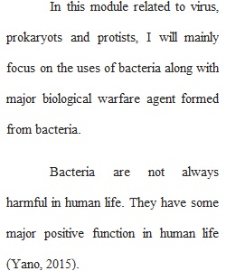 Bacteria Uses and Danger